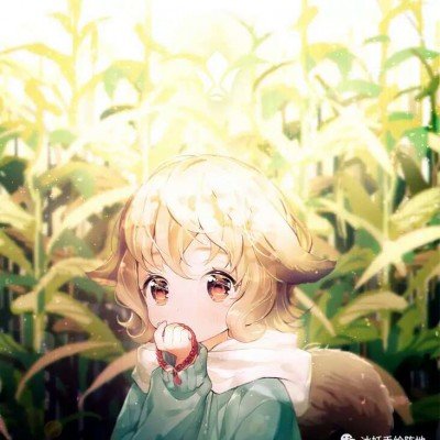 OpenAI发布GPT5.5